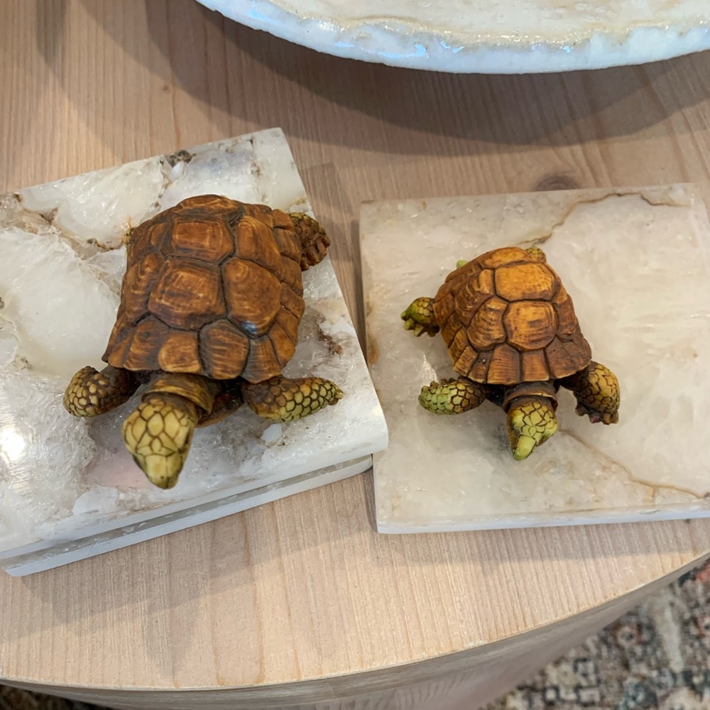 Decorative Tortoise Figurines vintage made in Italy